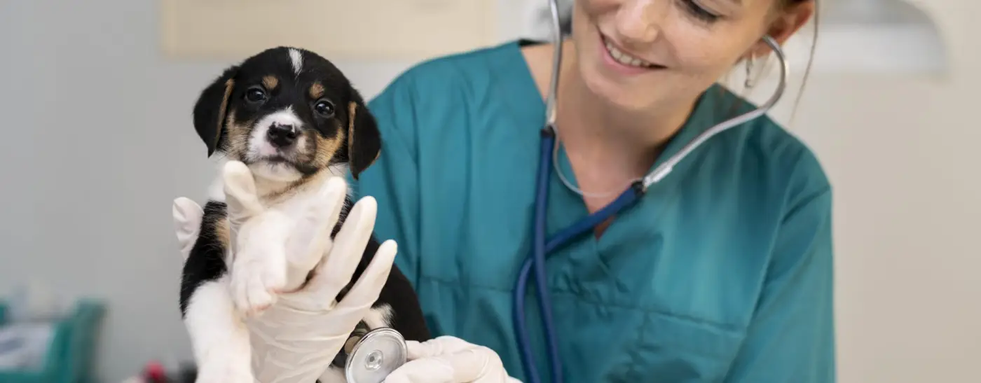 Servicios veterinarios SocialVet